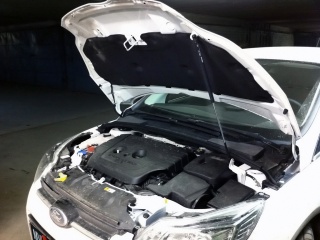 Упор капота Ford Focus 3 (2011-2015)