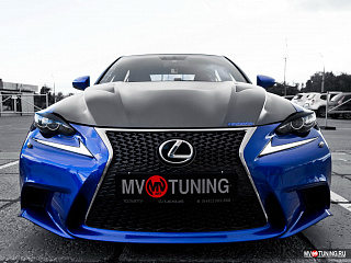 Крашенный комплект. Реснички на фары Lexus IS 3(III) (2013-2016) ЦВЕТ Красный 3R1 + УСТАНОВОЧНЫЙ КОМПЛЕКТ
