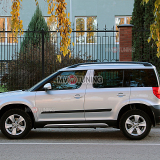 SNOW SILVER. Накладки на пороги Алюминиевый Вид (Взгляд) Skoda Yeti (2009-2012) окрашенный  комплект в серебро
