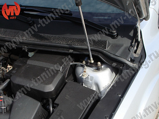Упор капота Ford Focus 2 (2004-2008)
