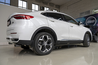 Электрические Пороги ATS для Haval F7 2024 II(Под заказ)(Без приложения)