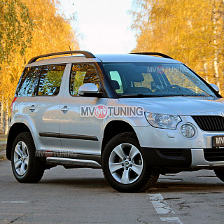 SNOW SILVER. Накладки на пороги Алюминиевый Вид (Взгляд) Skoda Yeti (2009-2012) окрашенный  комплект в серебро