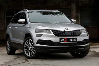 Зимний экран Skoda Karoq (2017-2021) нижний (текстурный пластик)