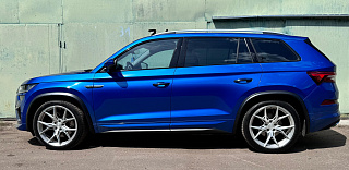 Расширители арок для Skoda Kodiaq (2016-2024) Текстурный(окрашенный) вариант + установочный комплект.