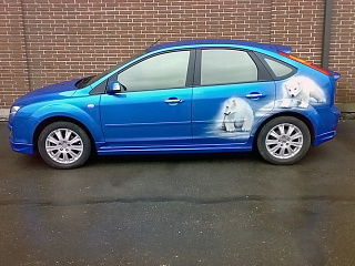 Пороги FT седан, хетчбек 5D Ford Focus 2 (2004-2011)