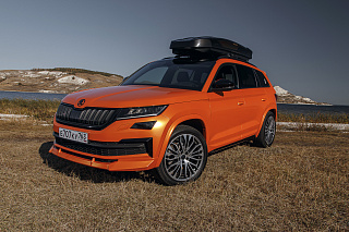 Расширители арок для Skoda Kodiaq (2016-2024) Текстурный(окрашенный) вариант + установочный комплект.